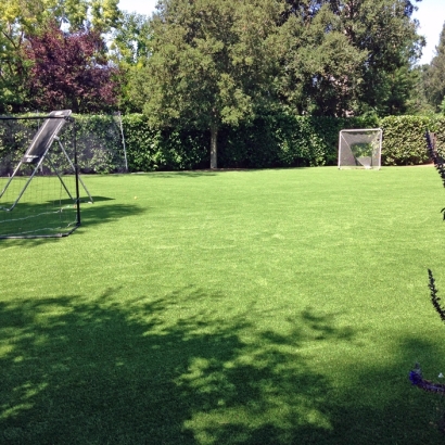 Synthetic Grass Cost Iberia, Ohio Stadium, Backyard Landscaping Ideas