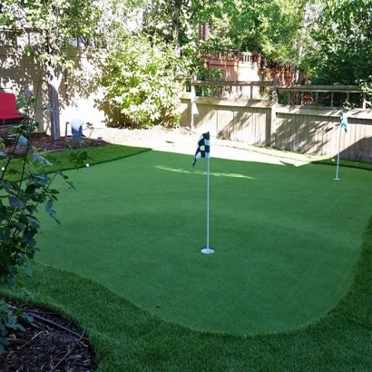 Synthetic Grass Cost Murray City, Ohio Backyard Putting Green, Backyard