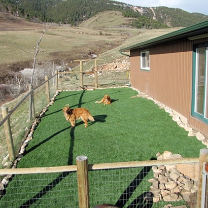 Synthetic Grass Cost Pancoastburg, Ohio Watch Dogs, Backyard Makeover