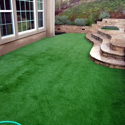 Synthetic Grass Cynthiana, Ohio Landscape Ideas, Backyard Garden Ideas