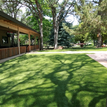 Synthetic Grass Trimble, Ohio Landscape Design, Backyard