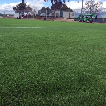 Synthetic Lawn Zaleski, Ohio Sports Turf