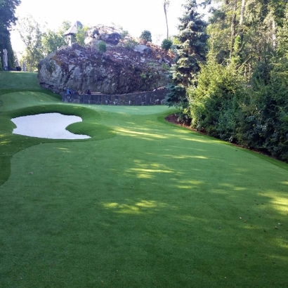 Synthetic Turf Adelphi, Ohio Putting Green Grass, Commercial Landscape