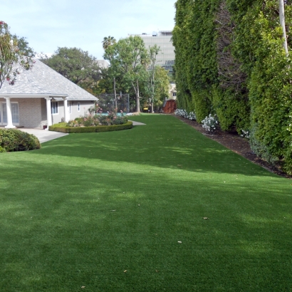 Synthetic Turf Albany, Ohio Rooftop, Small Front Yard Landscaping