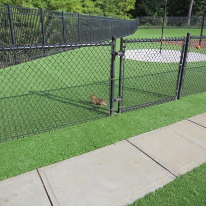 Synthetic Turf Hemlock, Ohio Landscaping Business, Parks