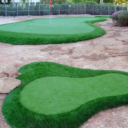 Synthetic Turf Kirby, Ohio Indoor Putting Greens, Front Yard