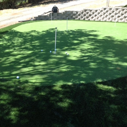 Synthetic Turf Supplier Cheshire, Ohio Indoor Putting Green, Backyard Designs