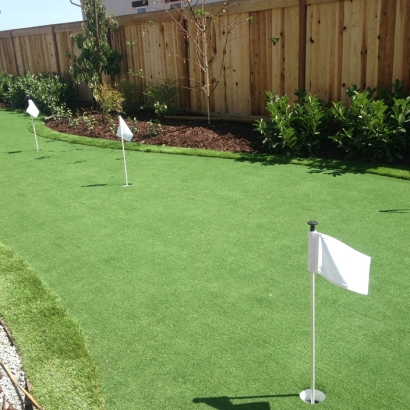 Synthetic Turf Supplier North Hampton, Ohio Office Putting Green, Beautiful Backyards