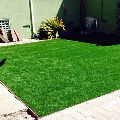 Turf Grass Cumberland, Ohio Pet Paradise, Backyard Design