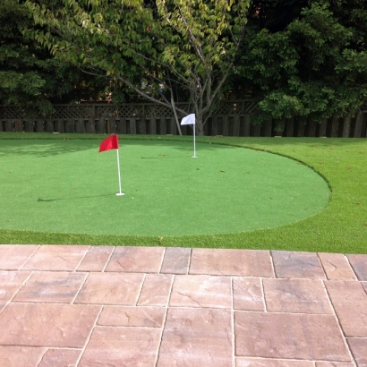 Turf Grass Farmersville, Ohio Backyard Putting Green, Backyard Landscaping Ideas