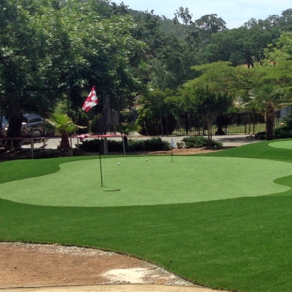 Turf Grass Rendville, Ohio Diy Putting Green, Front Yard Design