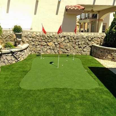 Turf Grass Troy, Ohio Putting Green Carpet, Backyard Design