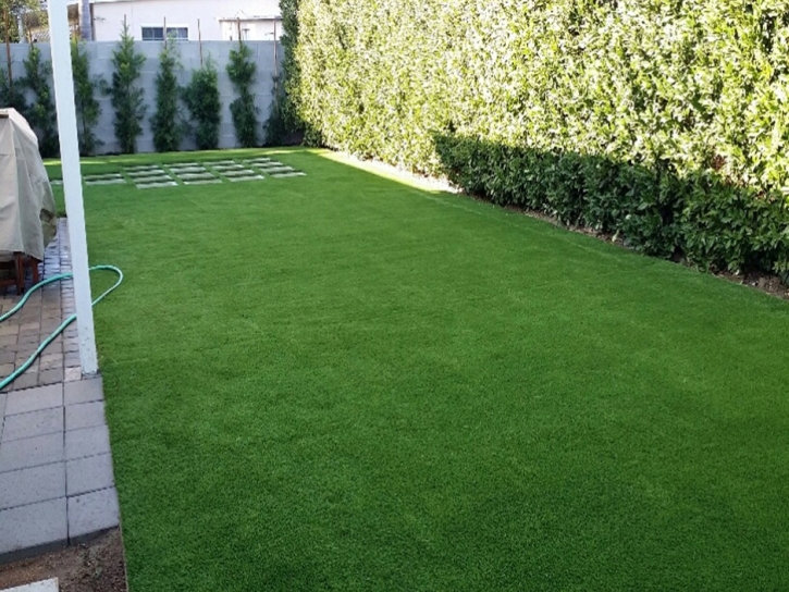 Artificial Grass Cambridge, Ohio Dog Hospital, Backyard Design