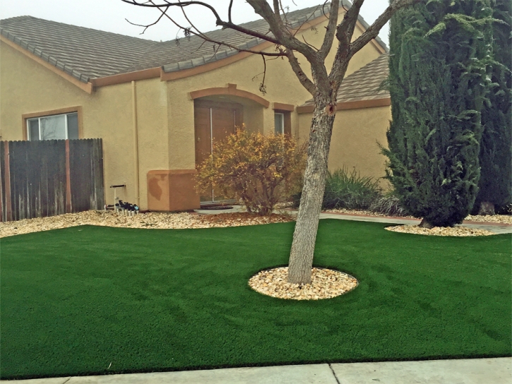 Artificial Grass Carpet Glenmont, Ohio Landscape Ideas, Small Front Yard Landscaping
