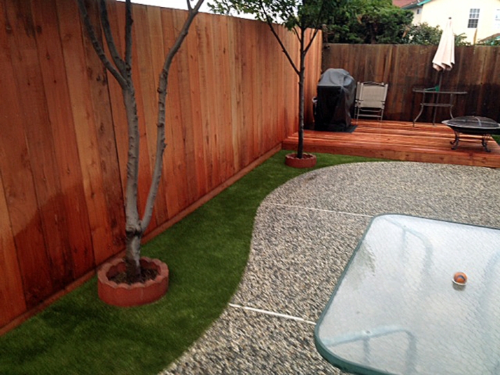 Artificial Grass Carpet Harpster, Ohio Lawn And Garden, Backyard Landscape Ideas