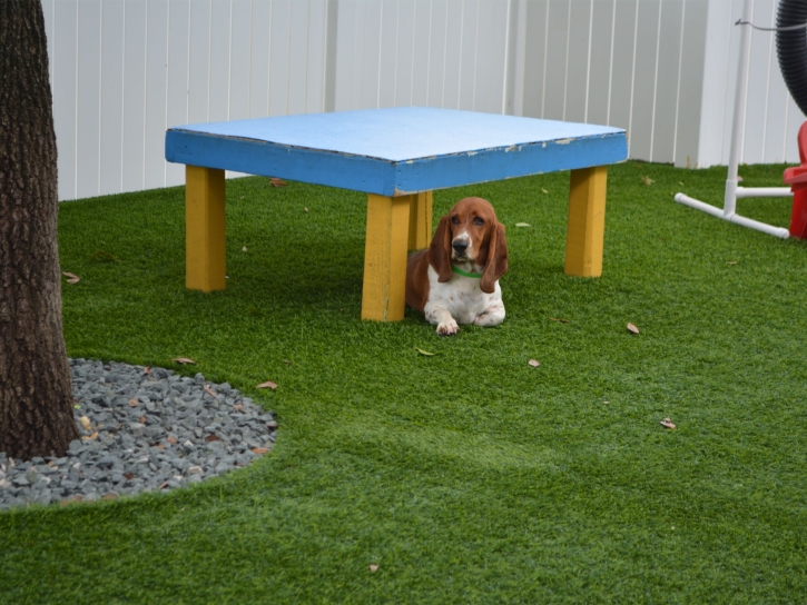 Artificial Grass Installation Lynchburg, Ohio Artificial Turf For Dogs, Dogs Park