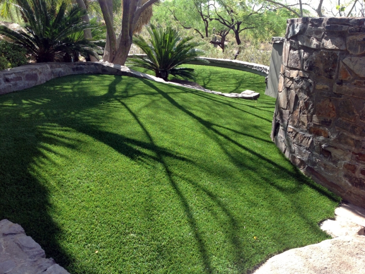 Artificial Grass Installation Rawson, Ohio Indoor Dog Park