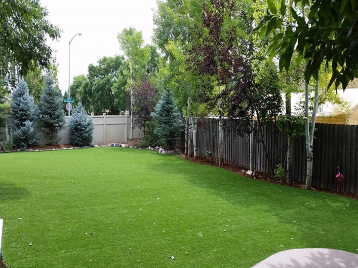 Artificial Grass Morral, Ohio Home And Garden, Beautiful Backyards