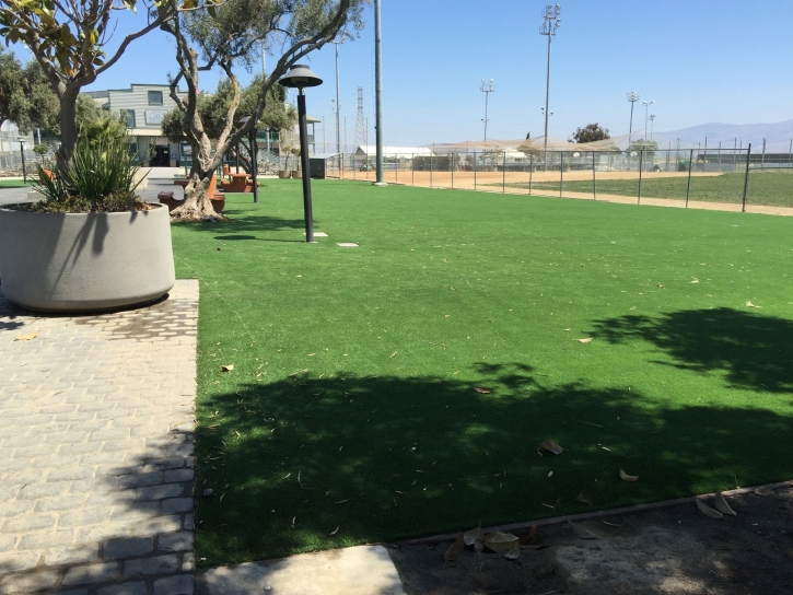 Artificial Grass New Concord, Ohio Backyard Playground, Parks