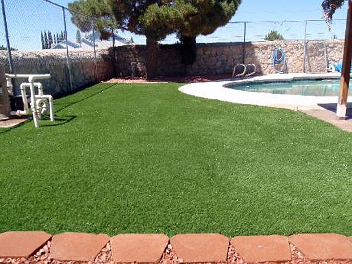 Artificial Lawn Andersonville, Ohio Landscaping, Swimming Pool Designs
