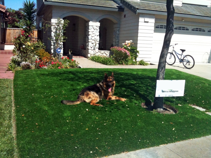 Artificial Turf Cost Darbyville, Ohio Rooftop, Front Yard Landscape Ideas