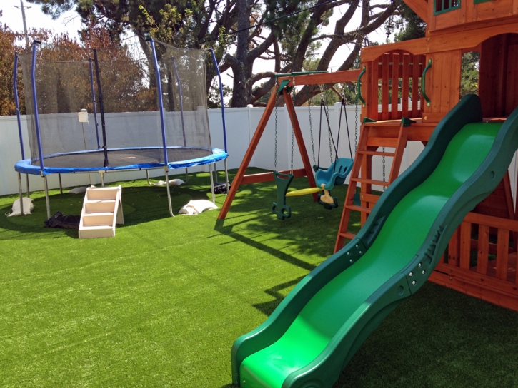 Artificial Turf Cost Fresno, Ohio Roof Top, Backyard Garden Ideas