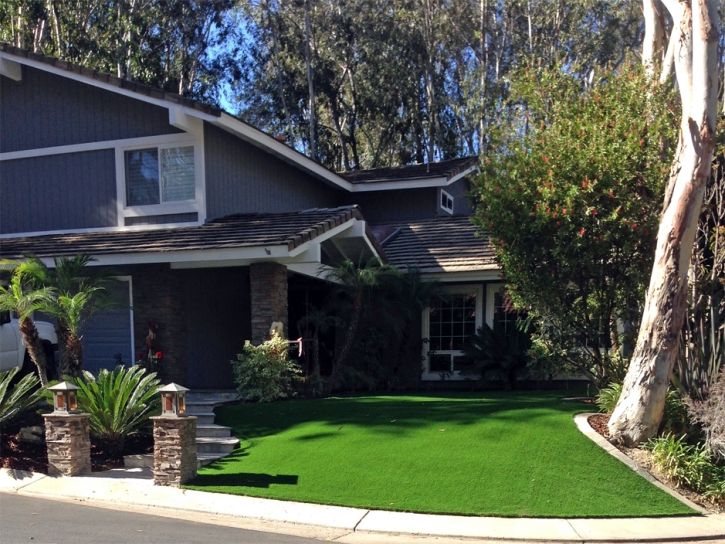 Artificial Turf Cost Yellow Springs, Ohio Rooftop, Front Yard Landscape Ideas