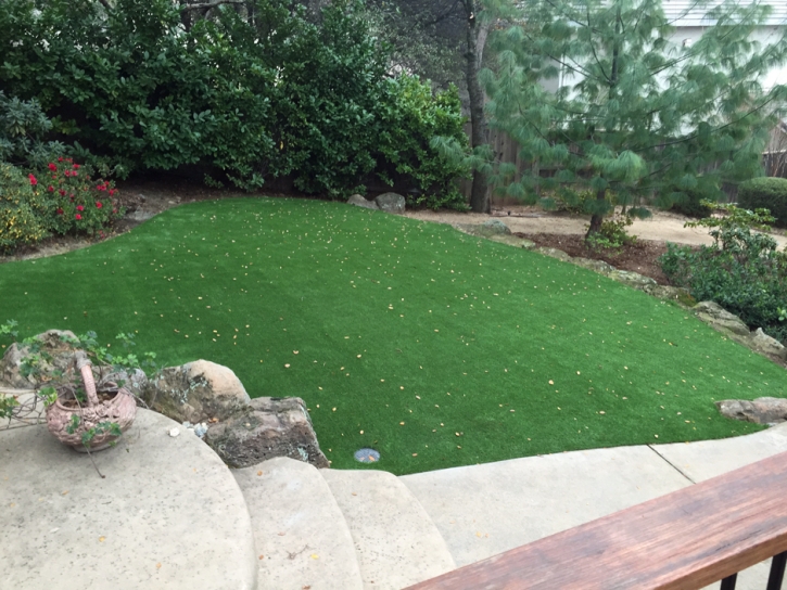 Artificial Turf Installation Conesville, Ohio Design Ideas, Backyard Garden Ideas