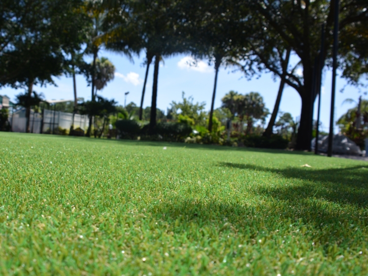 Artificial Turf Jackson Center, Ohio Gardeners, Recreational Areas