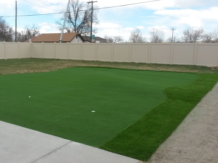 Artificial Turf Troy, Ohio Outdoor Putting Green, Backyards