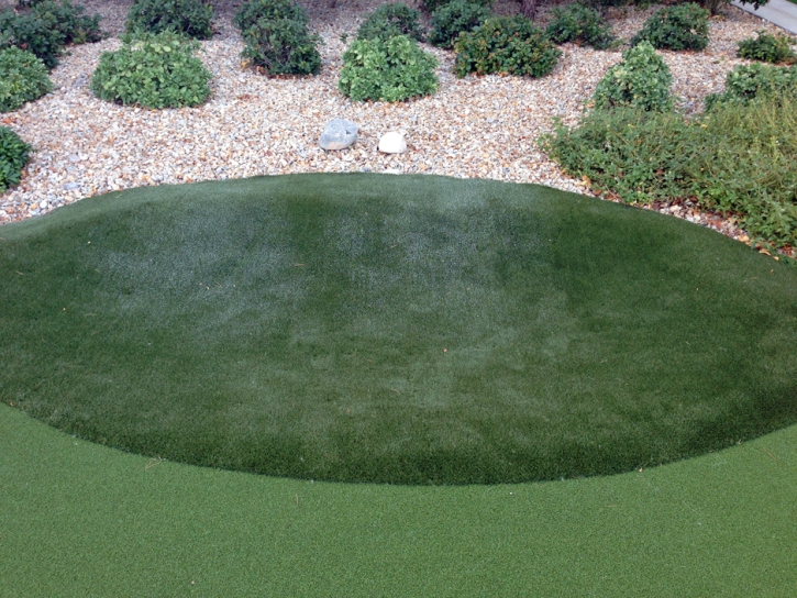 Artificial Turf Vincent, Ohio Garden Ideas