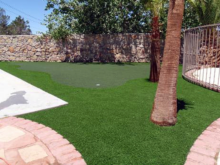 Best Artificial Grass Cardington, Ohio Artificial Putting Greens, Backyard Landscaping