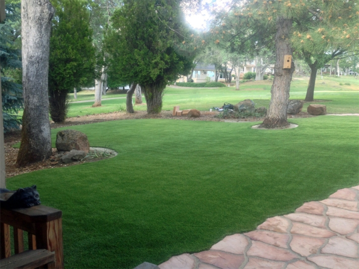 Best Artificial Grass Danville, Ohio City Landscape, Front Yard Landscaping