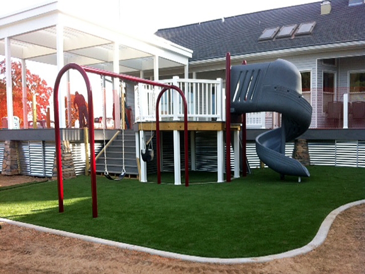 Best Artificial Grass Frankfort, Ohio Kids Indoor Playground, Backyard Garden Ideas