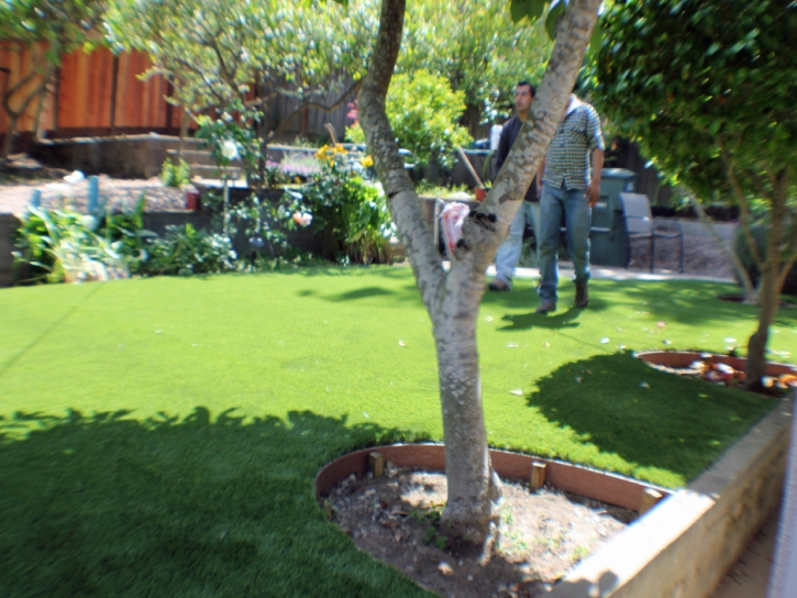 Best Artificial Grass Hamden, Ohio Rooftop, Backyard Design