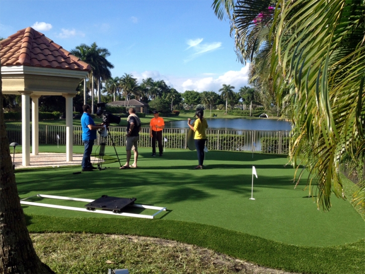 Best Artificial Grass Harrisburg, Ohio Putting Green Carpet, Backyard Designs