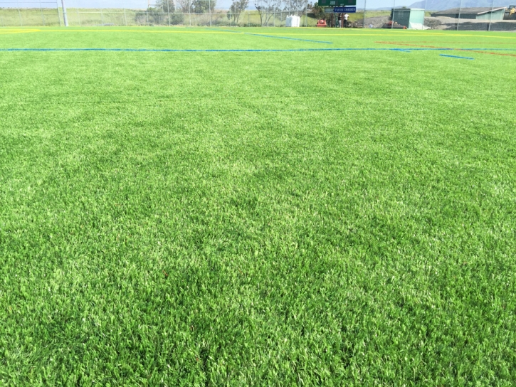 Best Artificial Grass New Marshfield, Ohio Lawn And Garden