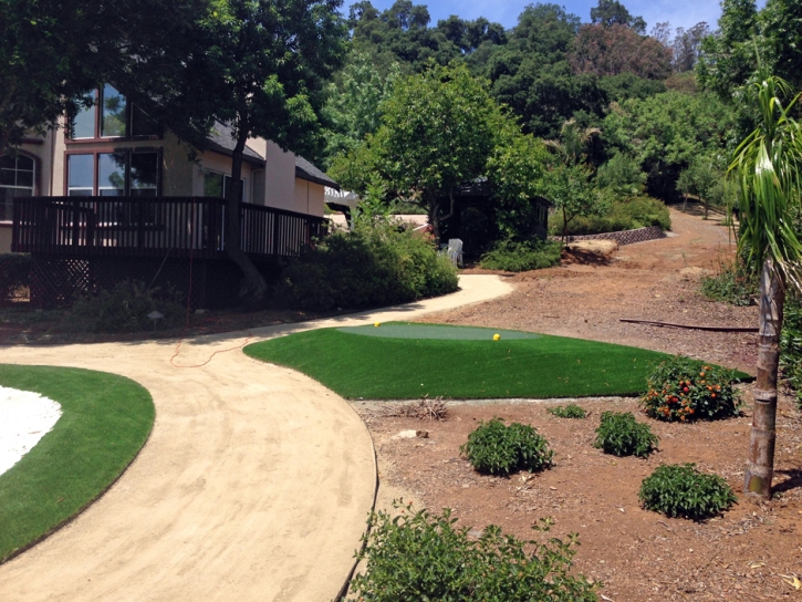 Fake Grass Carpet Clifton, Ohio Backyard Deck Ideas, Front Yard Ideas