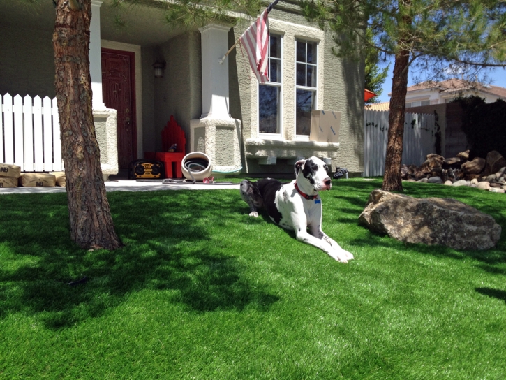 Fake Grass Carpet Crestline, Ohio Dog Pound, Front Yard