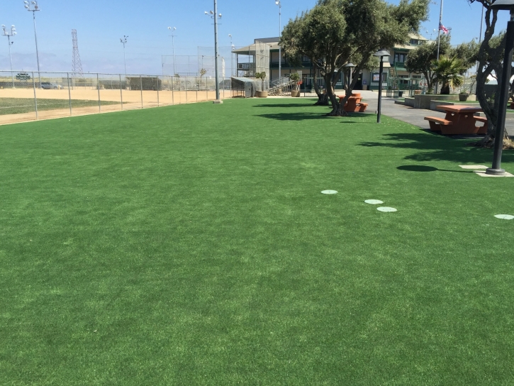 Fake Grass Carpet Fort McKinley, Ohio Roof Top, Recreational Areas