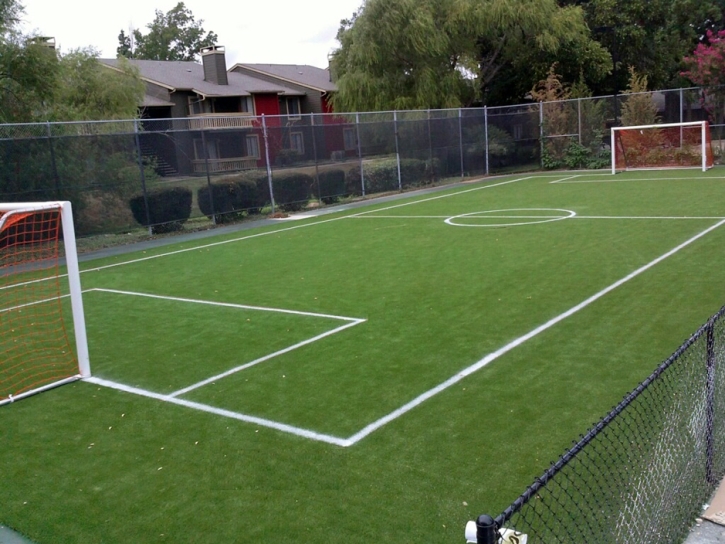 Fake Grass Carpet Logan, Ohio Sports Athority, Commercial Landscape