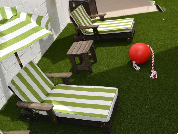 Fake Grass Carpet Moraine, Ohio Roof Top, Backyard Landscape Ideas