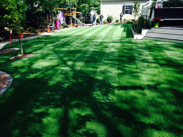 Fake Grass Carpet Wharton, Ohio Design Ideas, Backyard Design