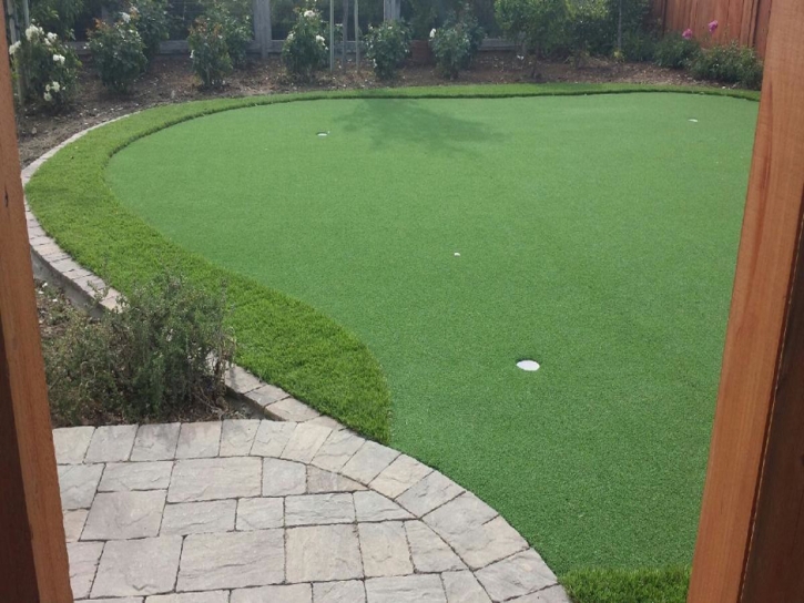 Fake Grass Powell, Ohio Outdoor Putting Green, Backyard Landscape Ideas