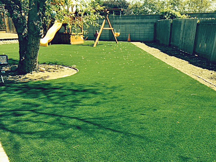 Fake Lawn Killbuck, Ohio City Landscape, Small Backyard Ideas