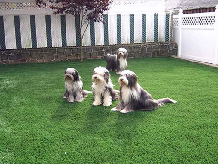 Fake Lawn Newtonsville, Ohio Dog Grass, Backyard Makeover