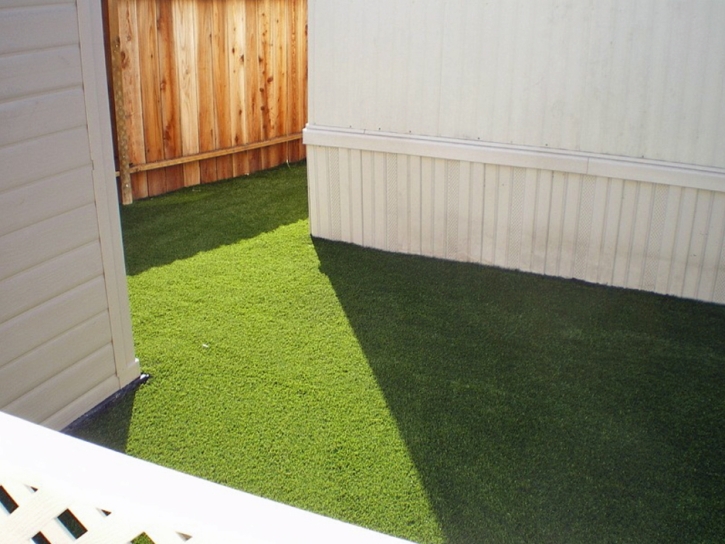 Fake Turf Gambier, Ohio Artificial Turf For Dogs, Backyard Ideas