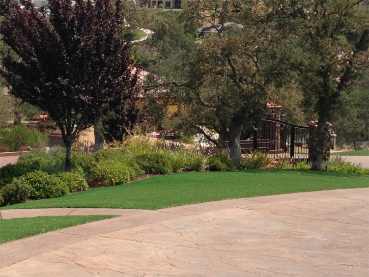 Fake Turf Morristown, Ohio Roof Top, Beautiful Backyards