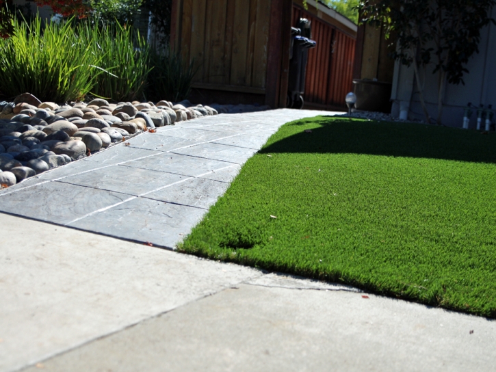 Grass Carpet Beverly, Ohio Home And Garden, Front Yard Landscaping