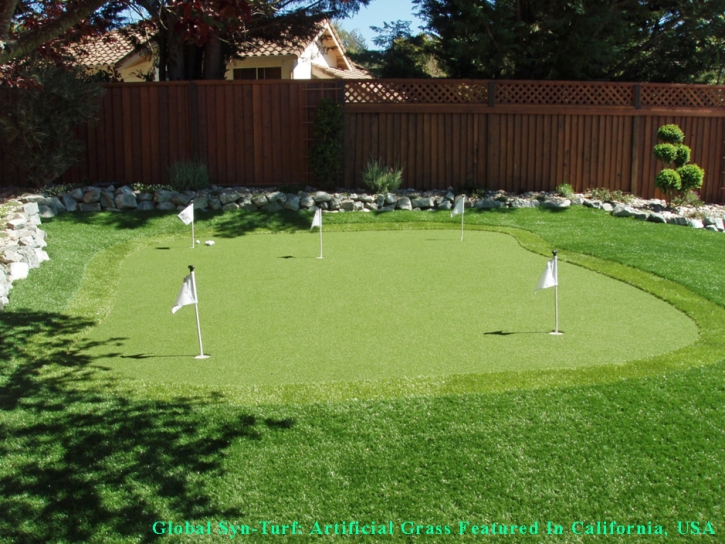 Grass Carpet Lincoln Village, Ohio Golf Green, Small Backyard Ideas